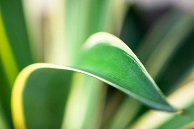 《最终幻想：像素重制版》系列7月29日推出